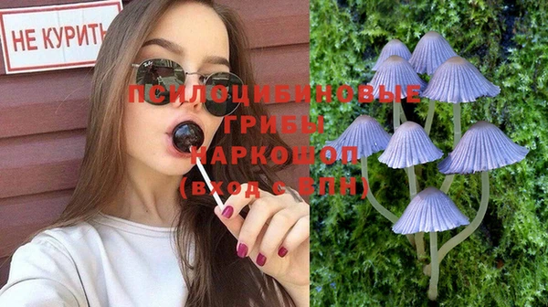 a pvp Володарск