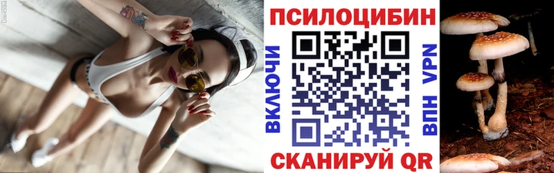Купить где  Курлово  Псилоцибиновые грибы MAGIC MUSHROOMS 